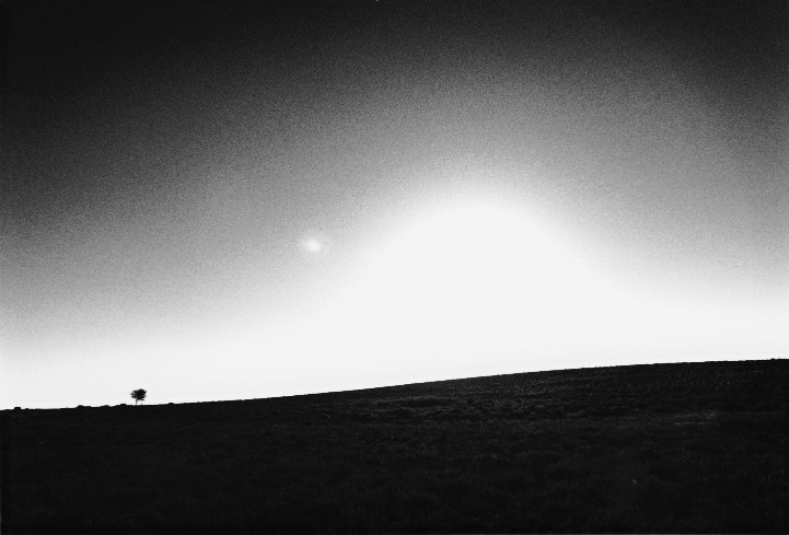 some rights reserved